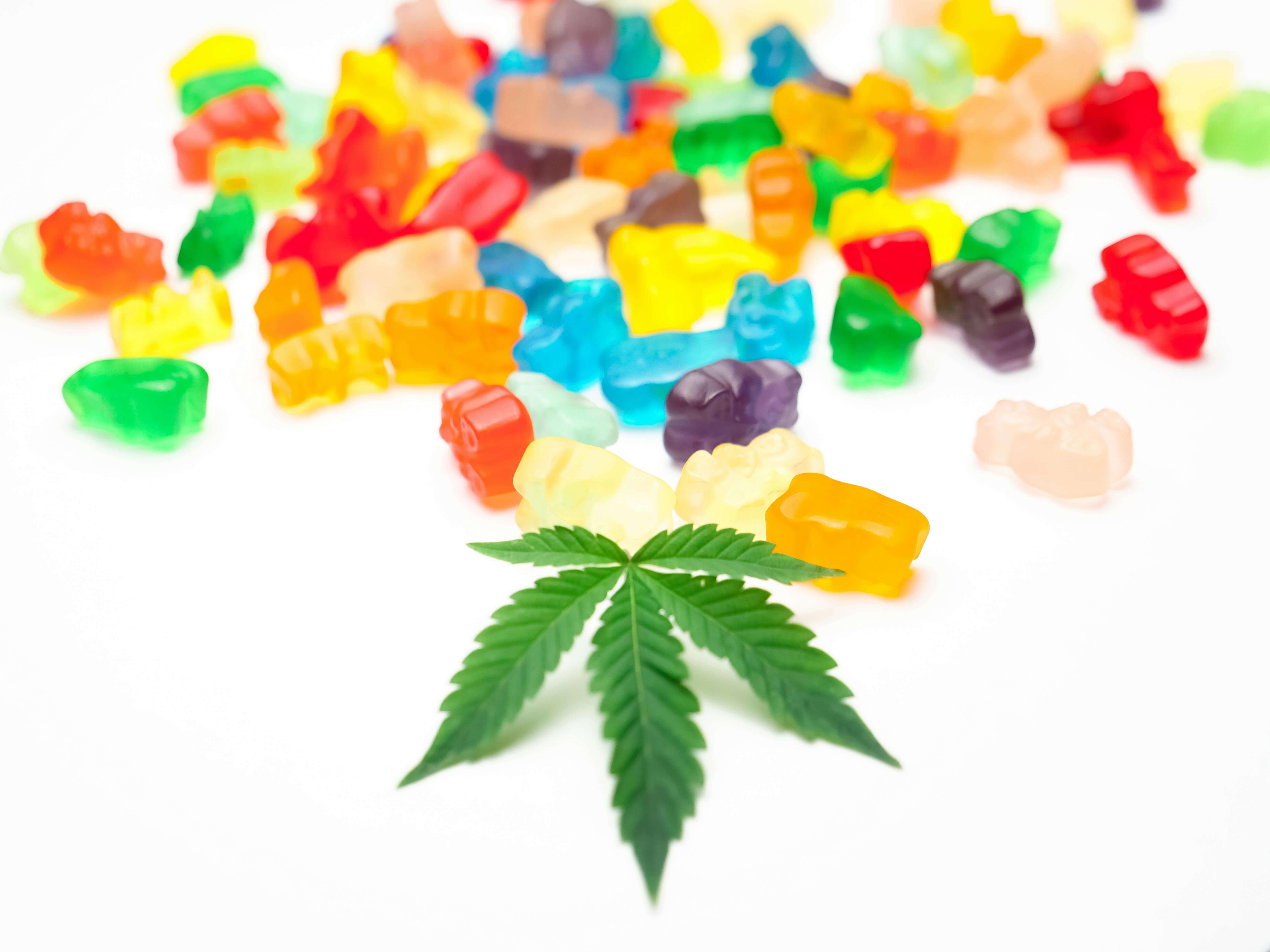 What are the different types of CBD